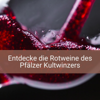 Markus Schneider Pinot Noir r Pfalz 2017